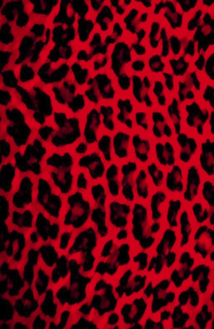 aesthetic y2k cheetah print wallpaper inspiration