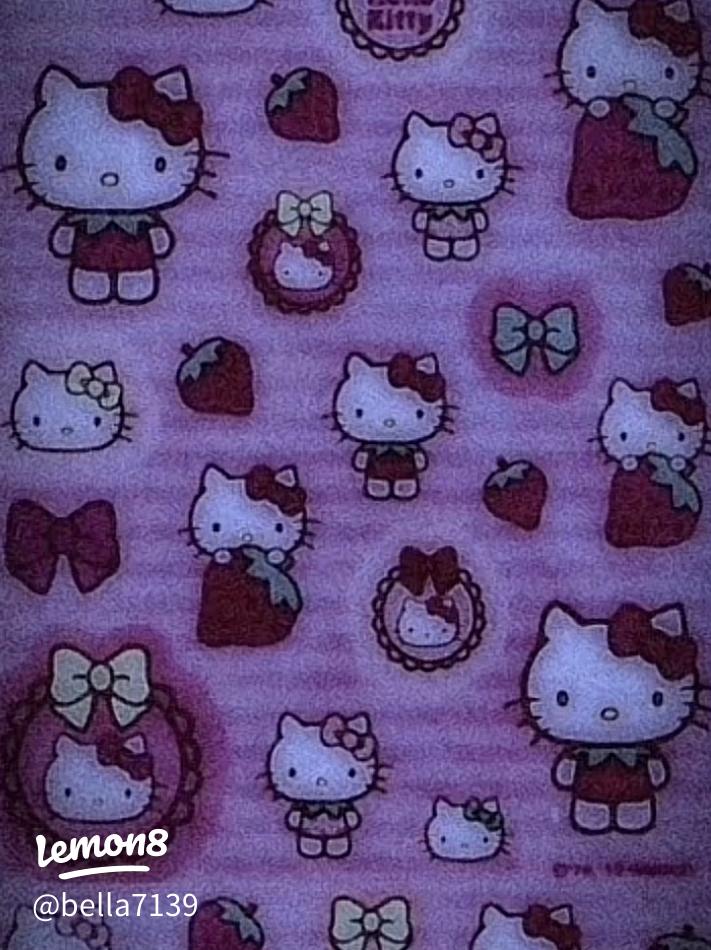 Hello Kitty poster y2k 0098