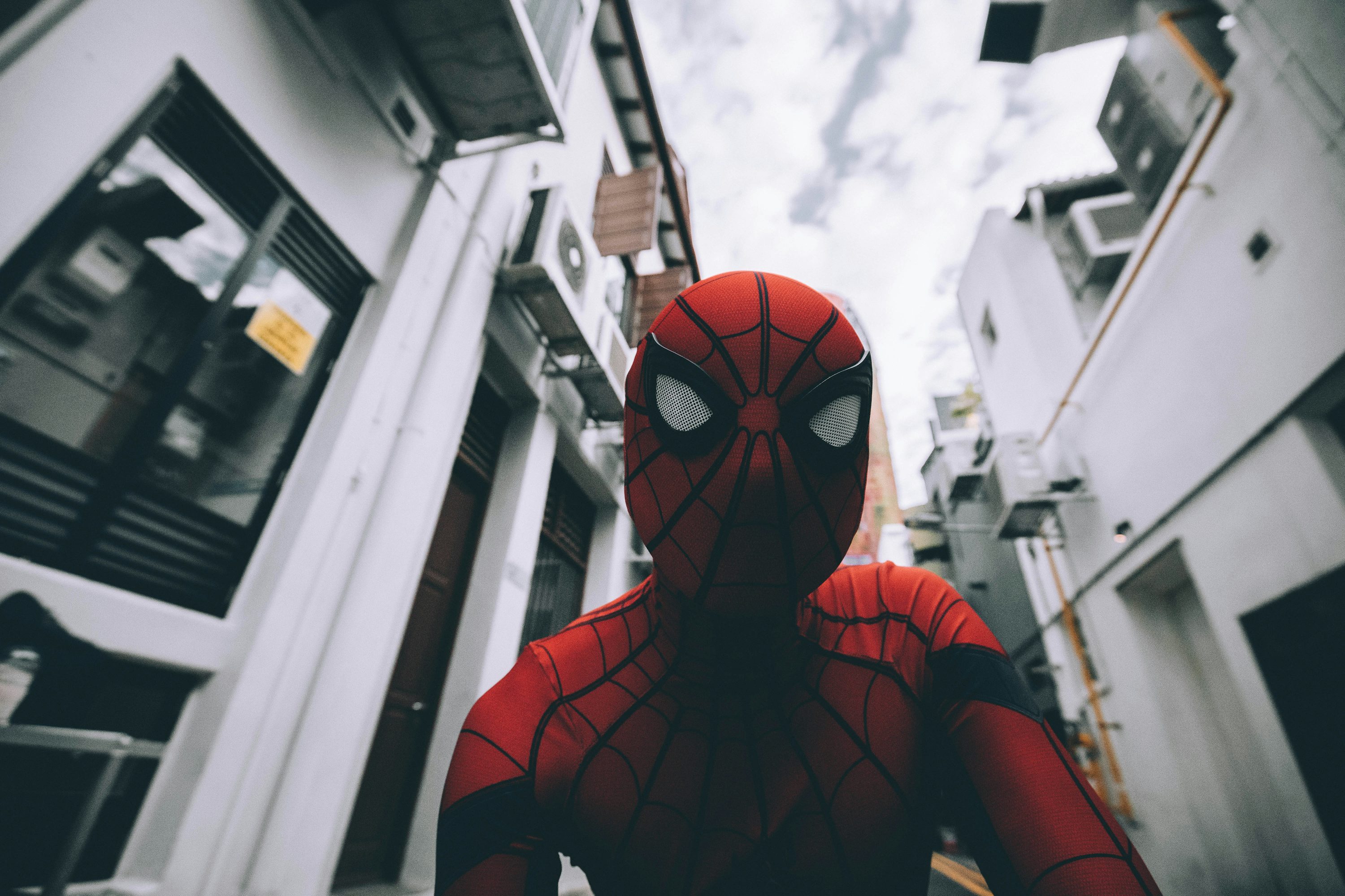 Spider Man pfp y2k 0071