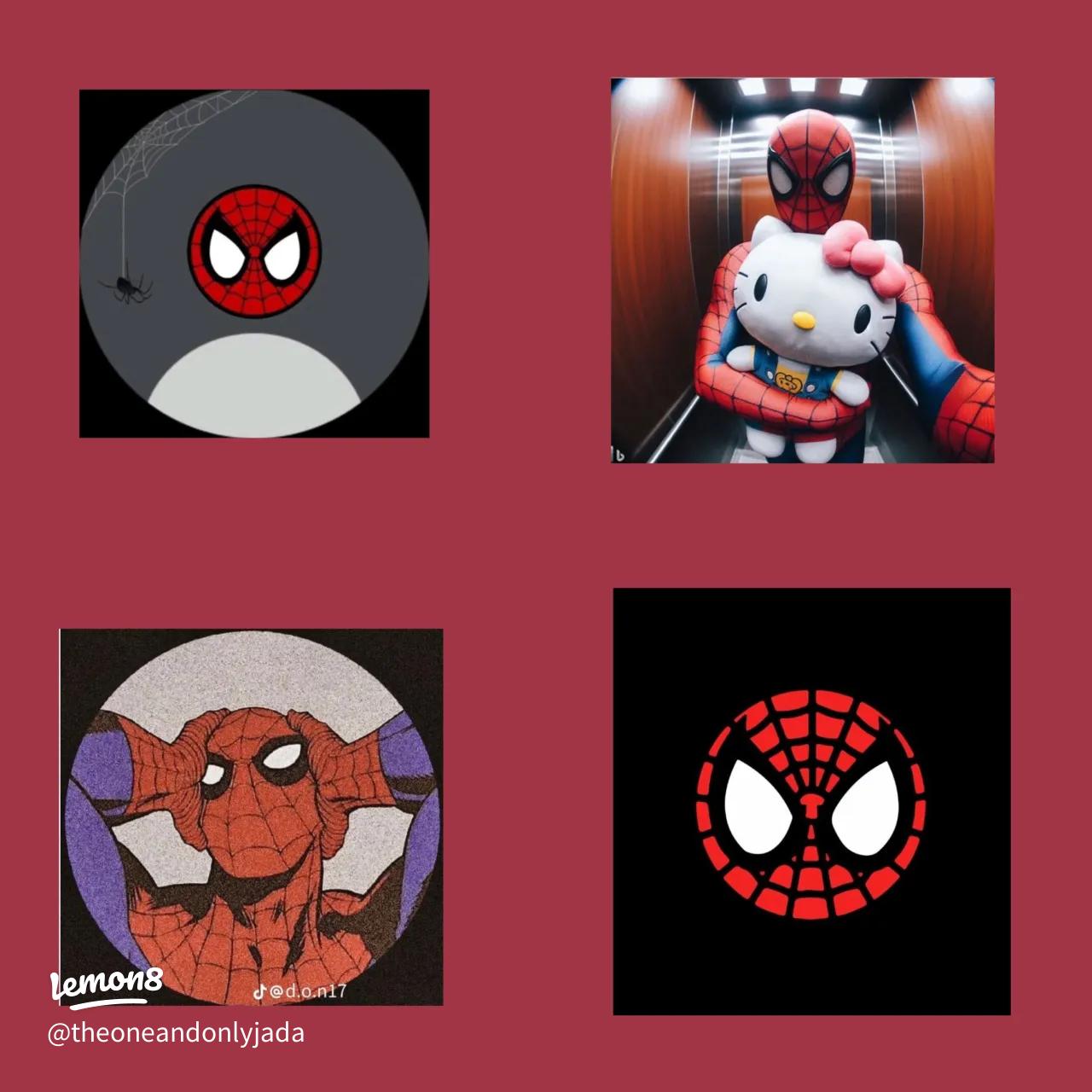 Spiderman pfp y2k 0063