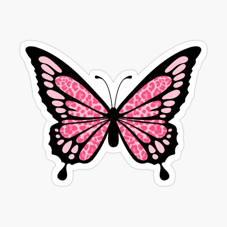 Y2K butterfly design