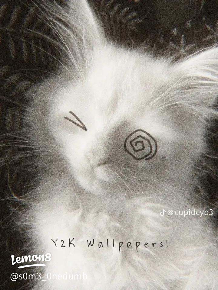 y2k Cat wallpaper 0095