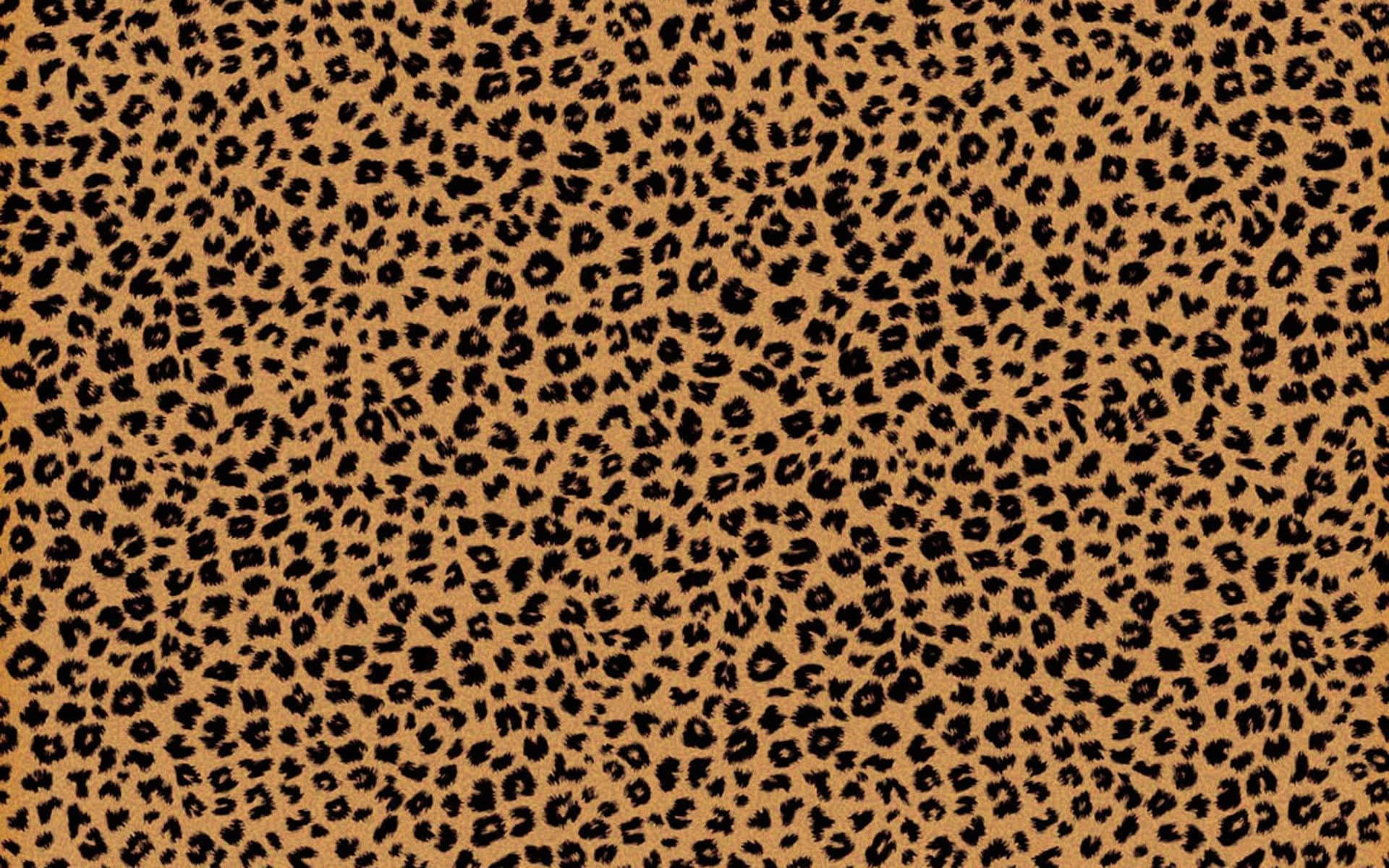 y2k cheetah print wallpaper 0075