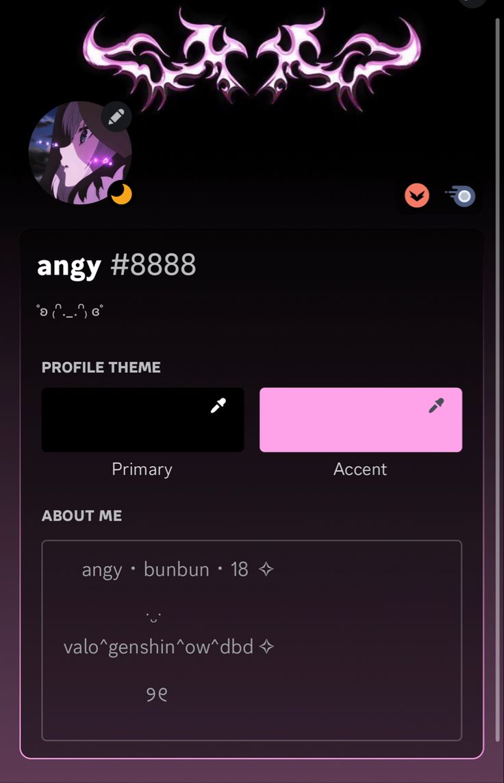 y2k discord about me 0028