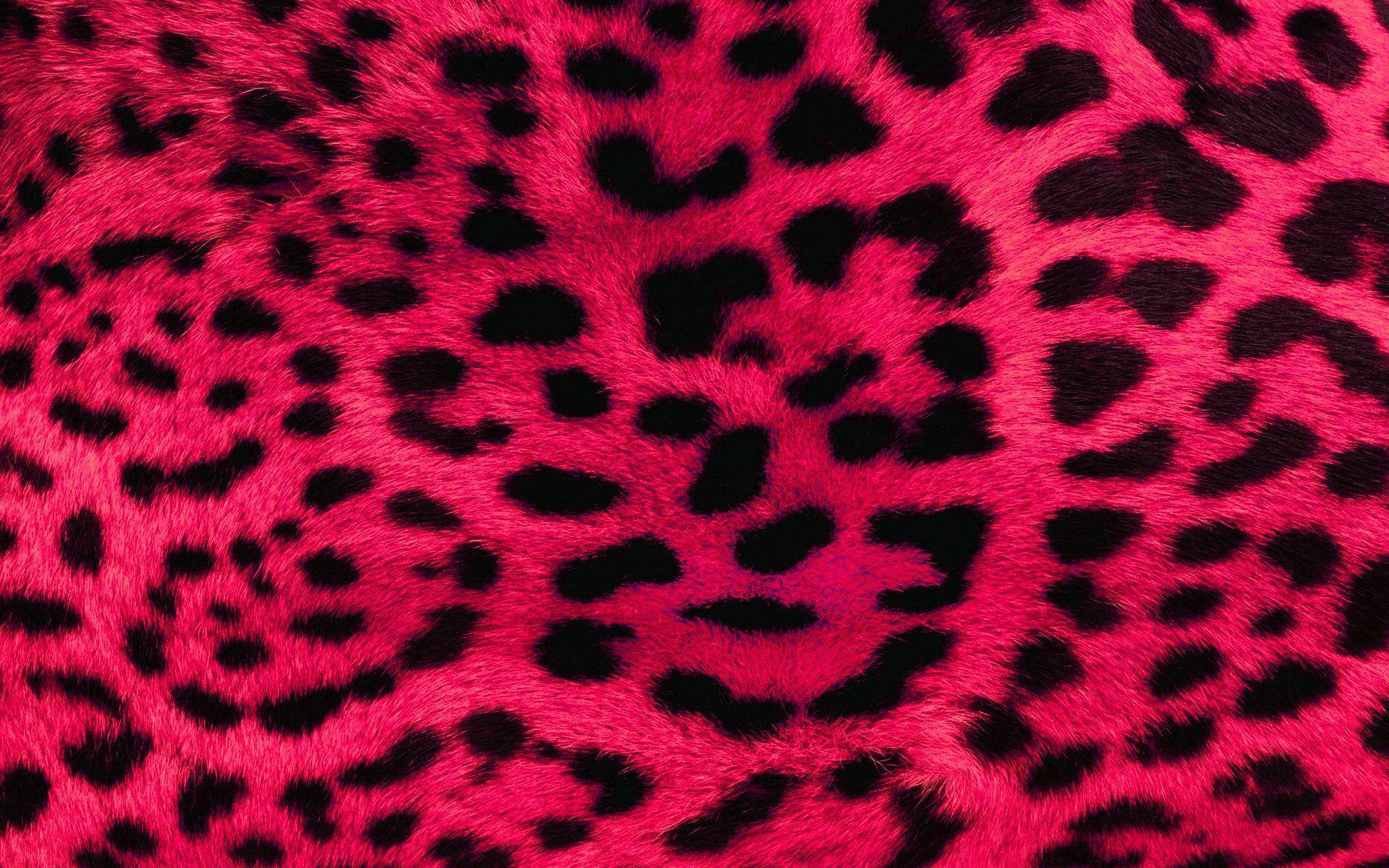 y2k cheetah print wallpaper 0052