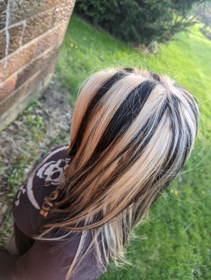 y2k skunk highlights styles